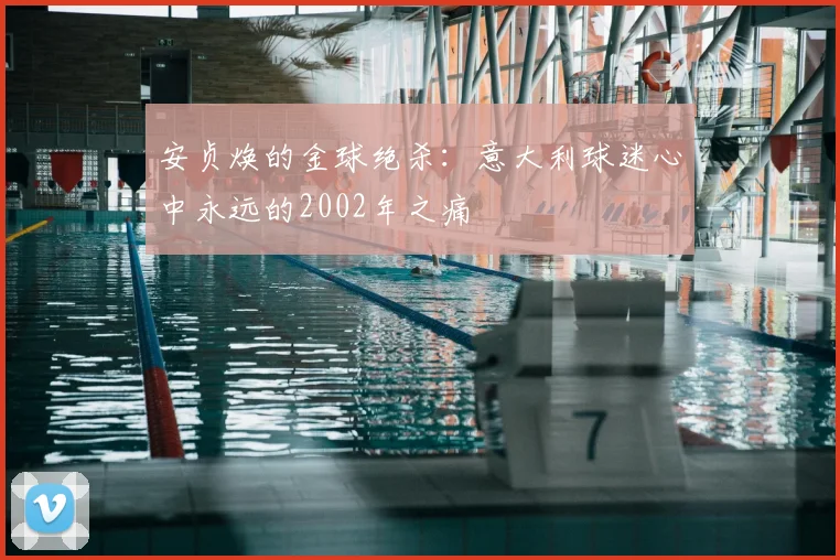 安贞焕的金球绝杀：意大利球迷心中永远的2002年之痛