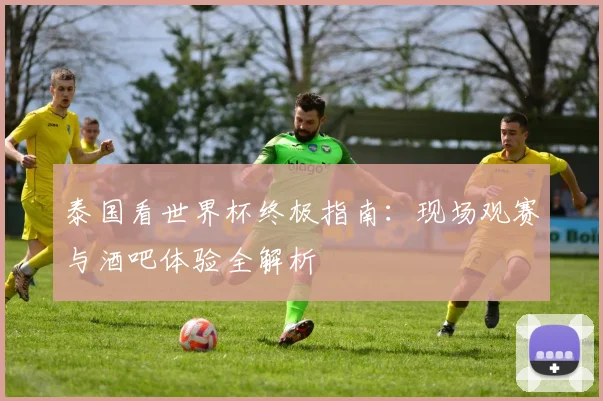 泰国看世界杯终极指南：现场观赛与酒吧体验全解析